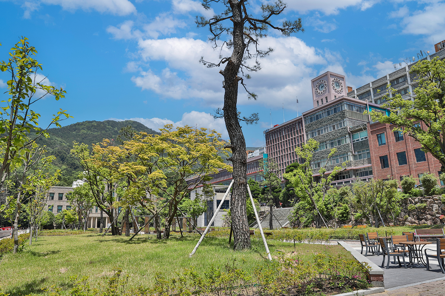 동아대학교 구덕캠퍼스 전경